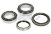 SPIDAN 72410 Wheel Bearing Kit